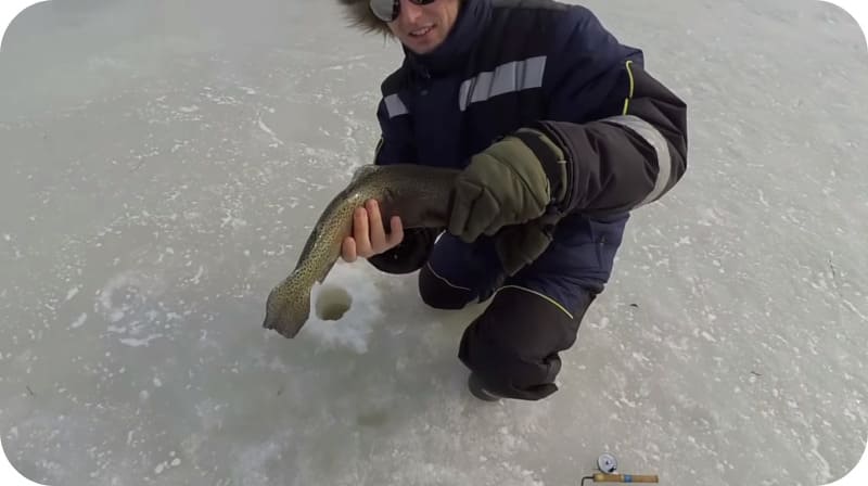 Trout fishing in winter: the best tactics and secrets of fishing