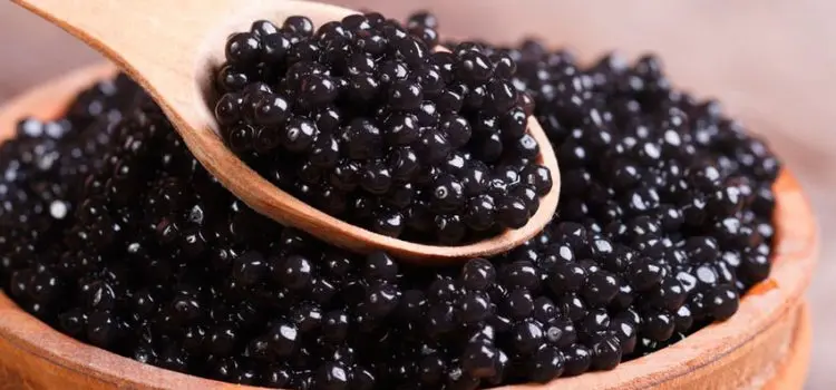 Useful properties of black caviar for the body, contraindications, from which fish it is extracted