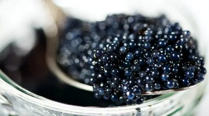 Useful properties of black caviar for the body, contraindications, from which fish it is extracted