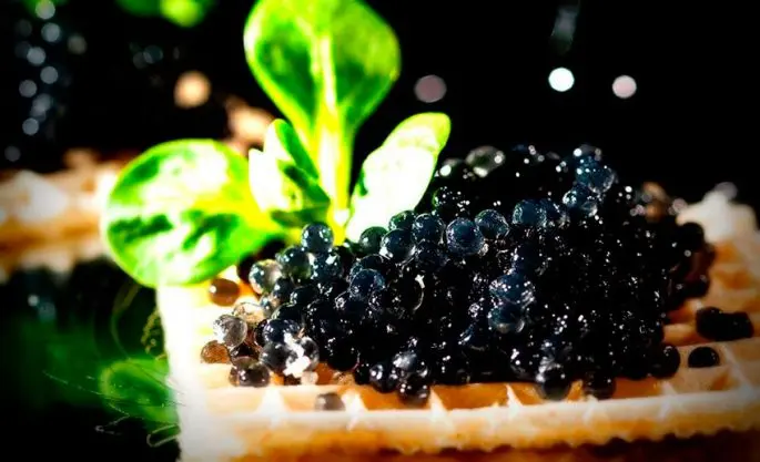 Useful properties of black caviar for the body, contraindications, from which fish it is extracted