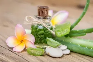 We present 7 interesting properties of aloe vera!