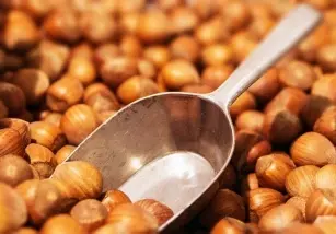 What is hazelnut allergy?