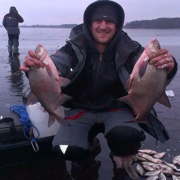What smell does bream like