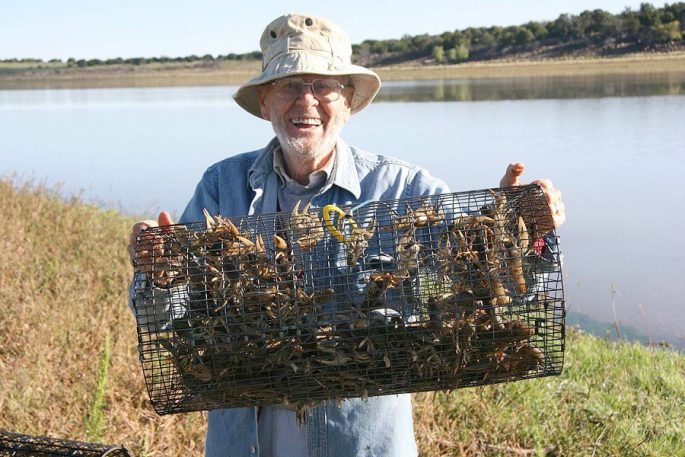 What to catch crayfish in a crayfish bait for crayfish