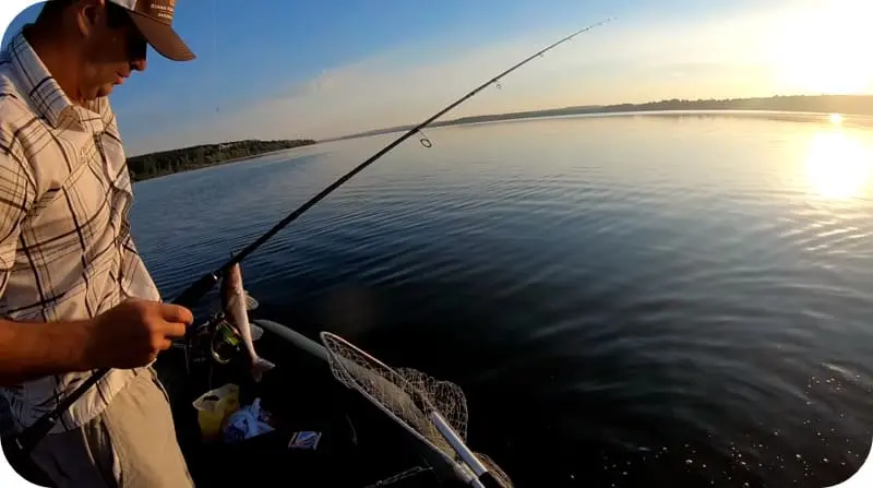 What to catch walleye in summer - the best ways to fish