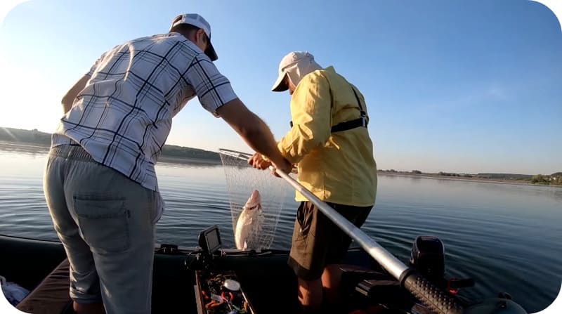 What to catch walleye in summer - the best ways to fish
