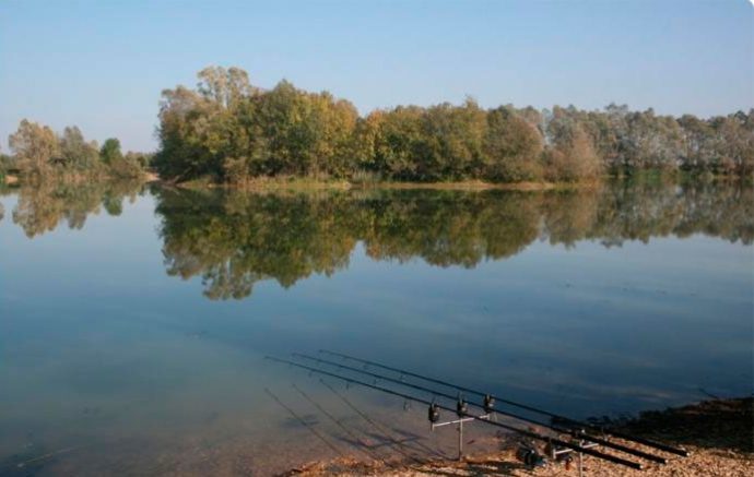 What to catch white carp: in summer, spring, autumn. Review of the best gear.