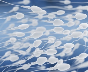 Vad ska man göra och inte för att hålla sin sperma i perfekt form?