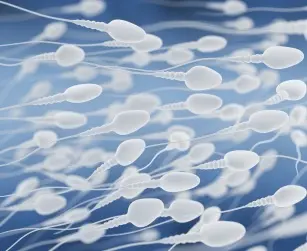 What to do and what not to keep your semen in perfect shape?