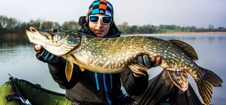 Pike fishing in spring