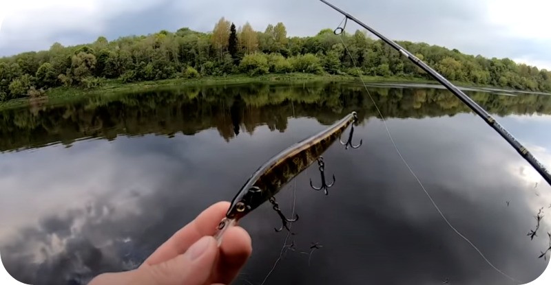 When you can fish from a boat - from what date it is forbidden
