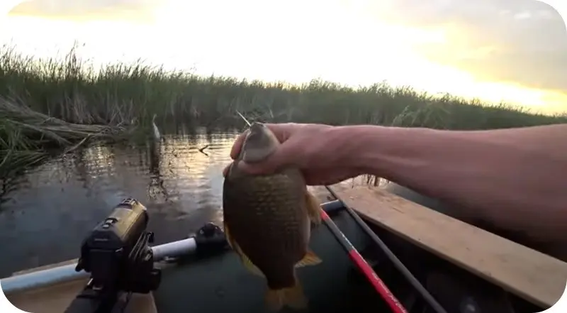 When you can fish from a boat - from what date it is forbidden