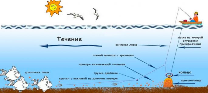 When you can fish from a boat: the date of the opening of the season and the end of the ban