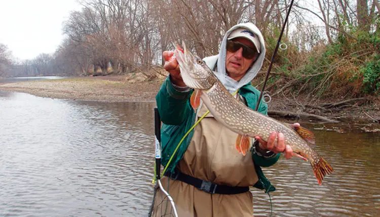 Where to look for pike? Search for fish on the lake and river, depending on the conditions of the reservoir and the season