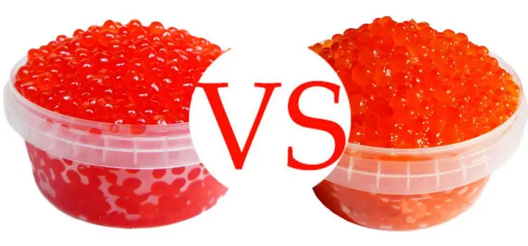 Which caviar is better than chum salmon or sockeye salmon? differences, useful properties