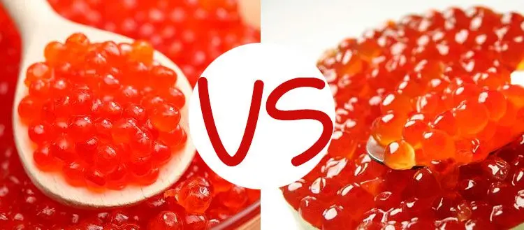 Which red caviar is better: chum salmon or pink salmon, what are the differences