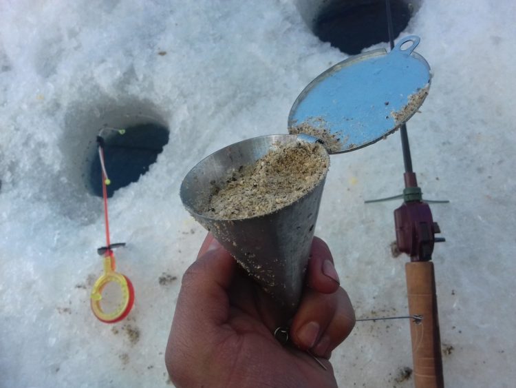 Winter fishing for bream: fishing methods, search tactics and bait selection