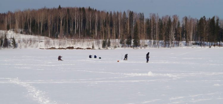 彼爾姆地區的冬季釣魚：釣魚基地、技巧