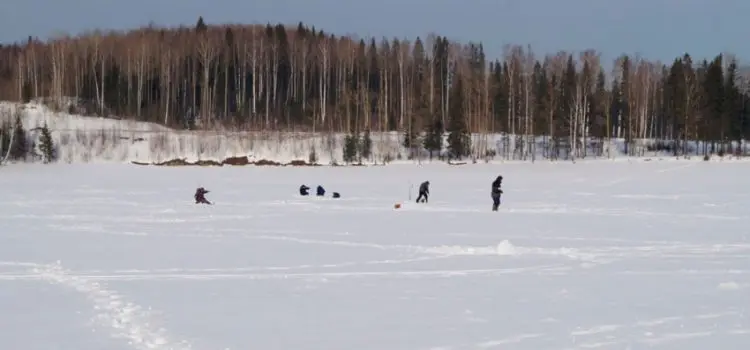 Winter fishing in the Perm region: fishing bases, tips