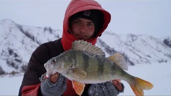 Winter fishing in the Perm region: fishing bases, tips