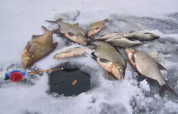 Winter fishing in the Perm region: fishing bases, tips