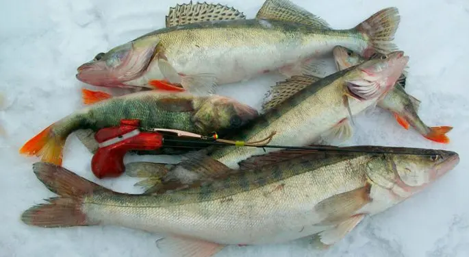 Winter fishing in the Perm region: fishing bases, tips