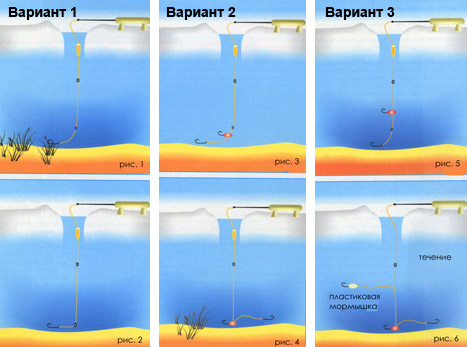 Winter float rod: types, fishing technique, how to assemble equipment