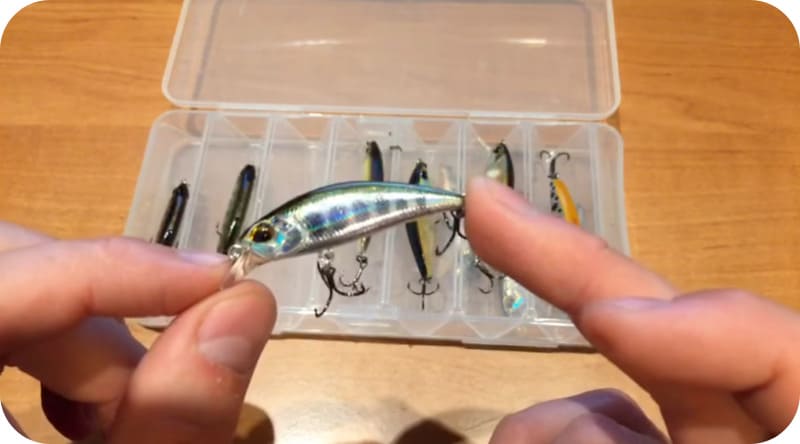 Wobbler for trout fishing - TOP 10 best for payers