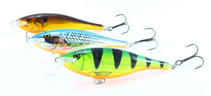 Wobblers for asp: TOP 10 catchy models, fishing technique