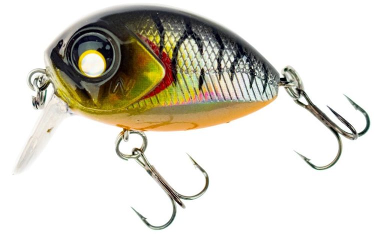 Wobblers for chub: varieties, recommendations for choosing baits and top most catchy models