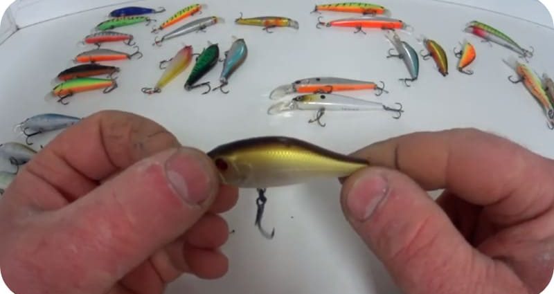 Wobblers for pike perch &#8211; an overview of the best options from the TOP 10