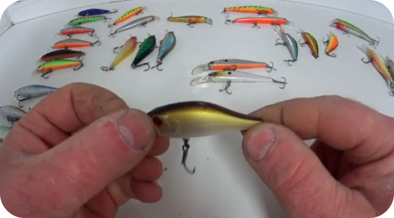 Wobblers for pike perch - an overview of the best options from the TOP 10