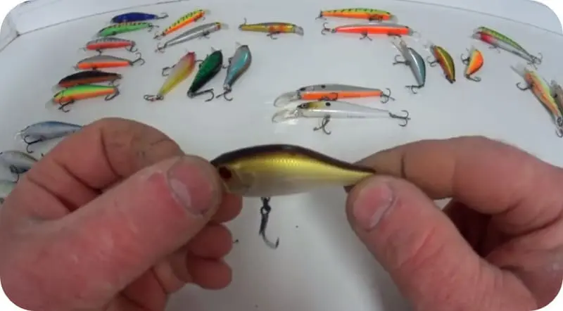 Wobblers for pike perch &#8211; an overview of the best options from the TOP 10