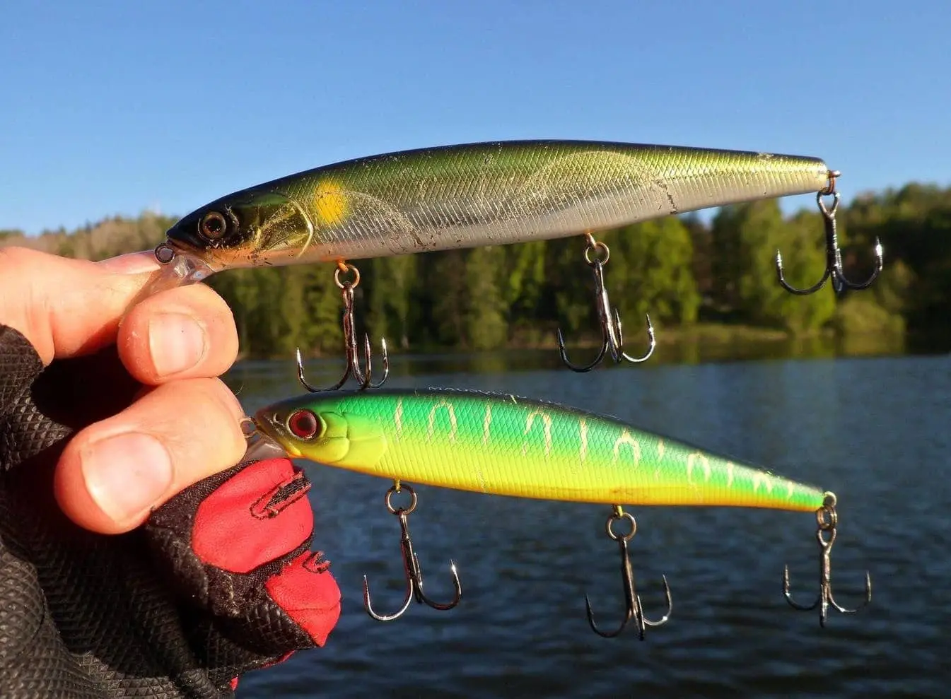 Wobblers for pike: selection criteria and rating of the best models