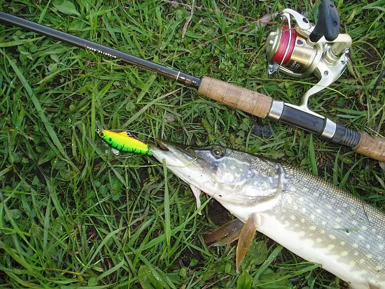 Wobblers for pike: selection criteria and rating of the best models