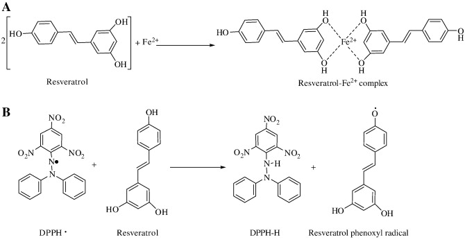 Antioxidants: resveratrol