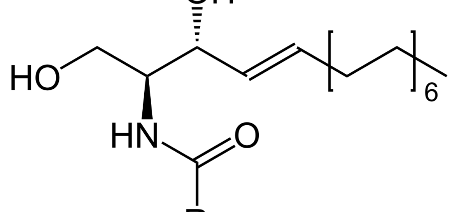 Ceramides