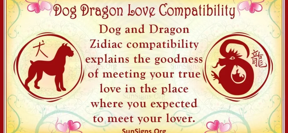 Dragon and Dog Chinese Zodiac Compatibility