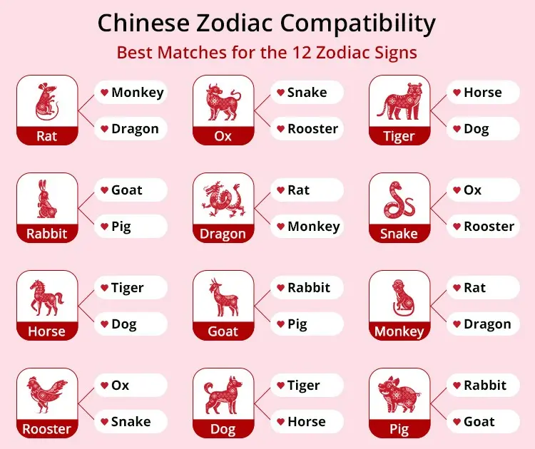 Dragon and Pig Chinese Zodiac Compatibility