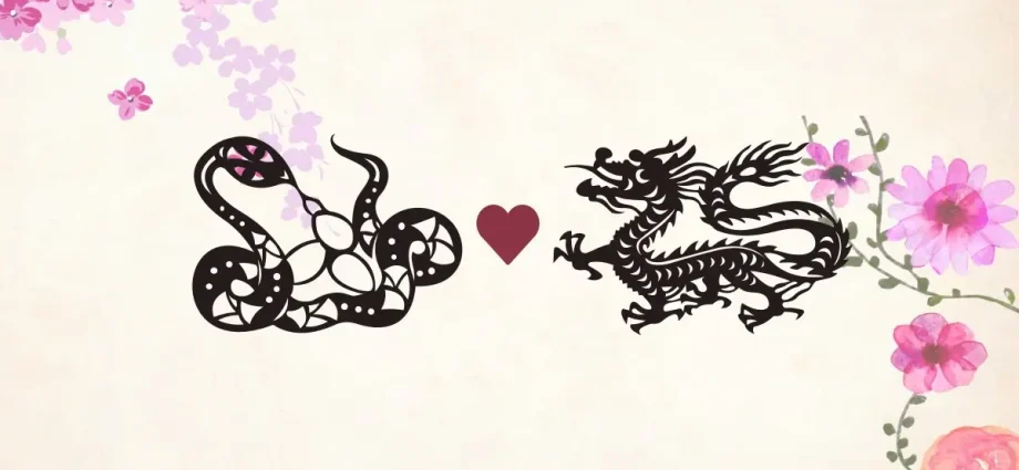 Dragon and Snake Chinese Zodiac Compatibility