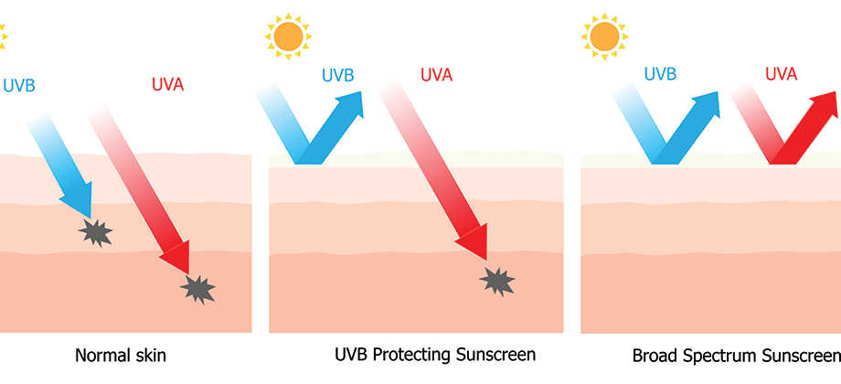 Filters in sunscreen