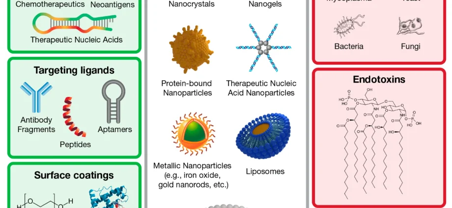 Glucans and glycans: carbohydrates in cosmetics