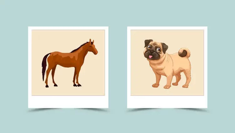 Horse and Dog &#8211; Chinese Zodiac Compatibility