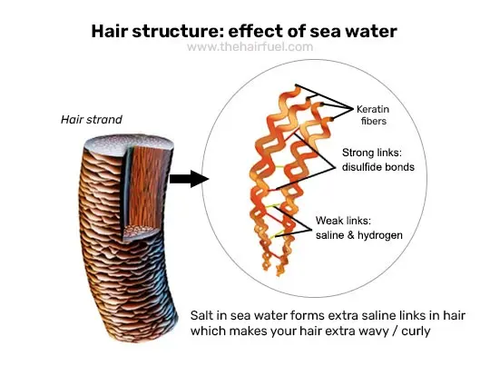 How sea water affects hair