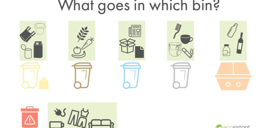 How to sort garbage at home: a complete guide