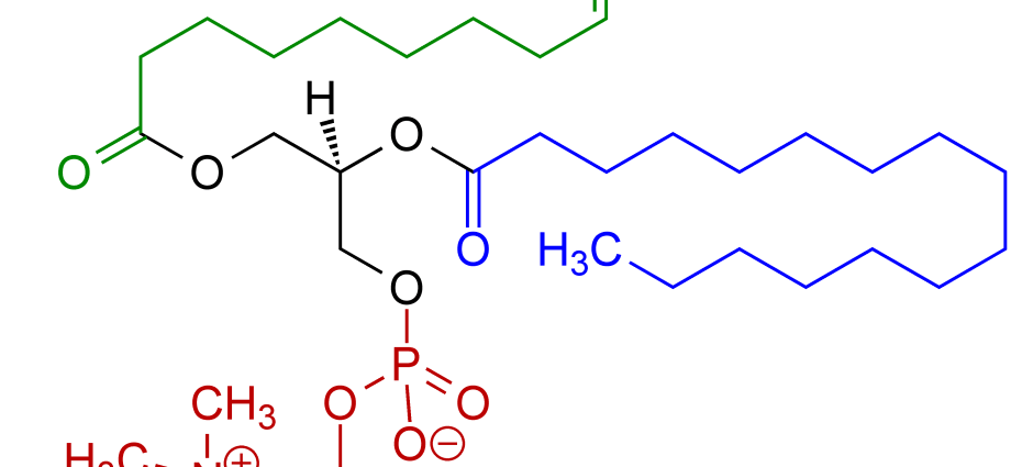 lecithin