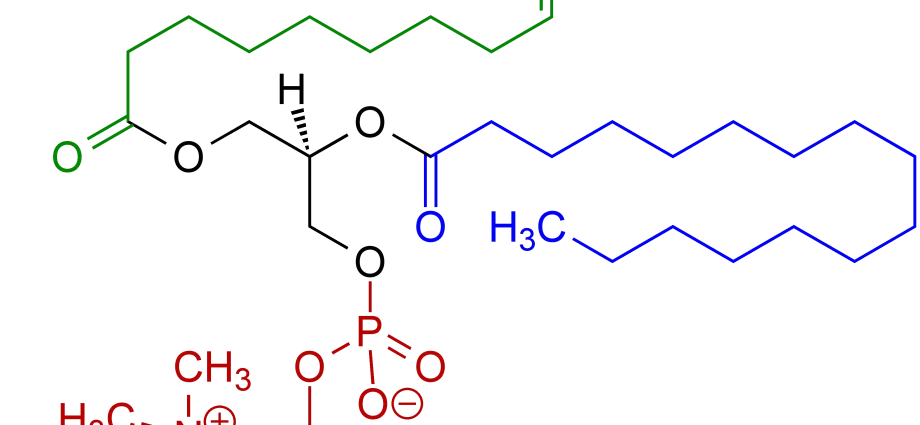 lecithin