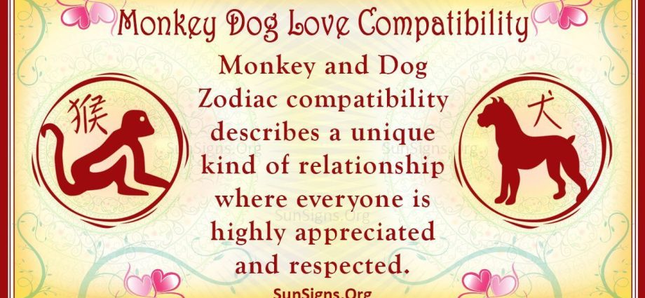 Keserasian Zodiak Cina Monyet dan Anjing