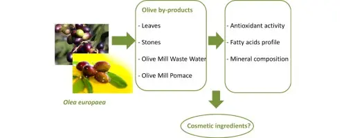 Overview of cosmetics with olive oil