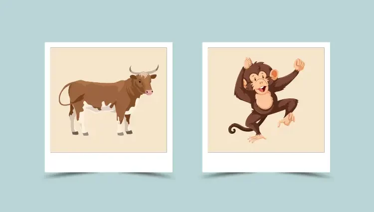 Ox and Monkey Chinese Zodiac Compatibility